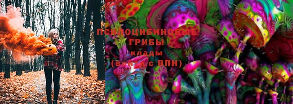 spice Алзамай