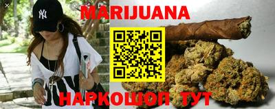mdpv Новодвинск