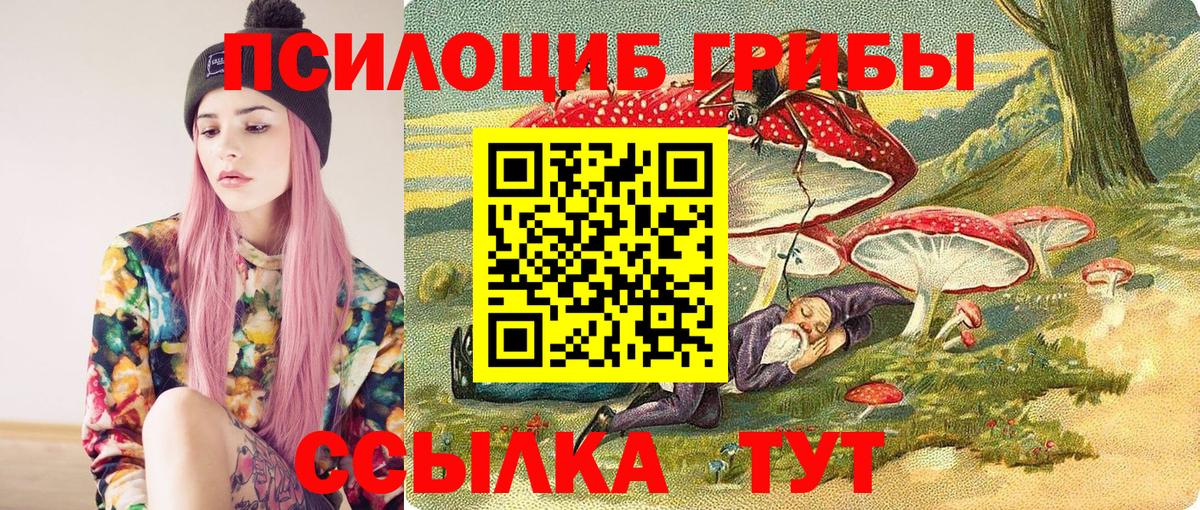 Псилоцибиновые грибы мухоморы  Вход с VPN  купить закладку  Светлоград 