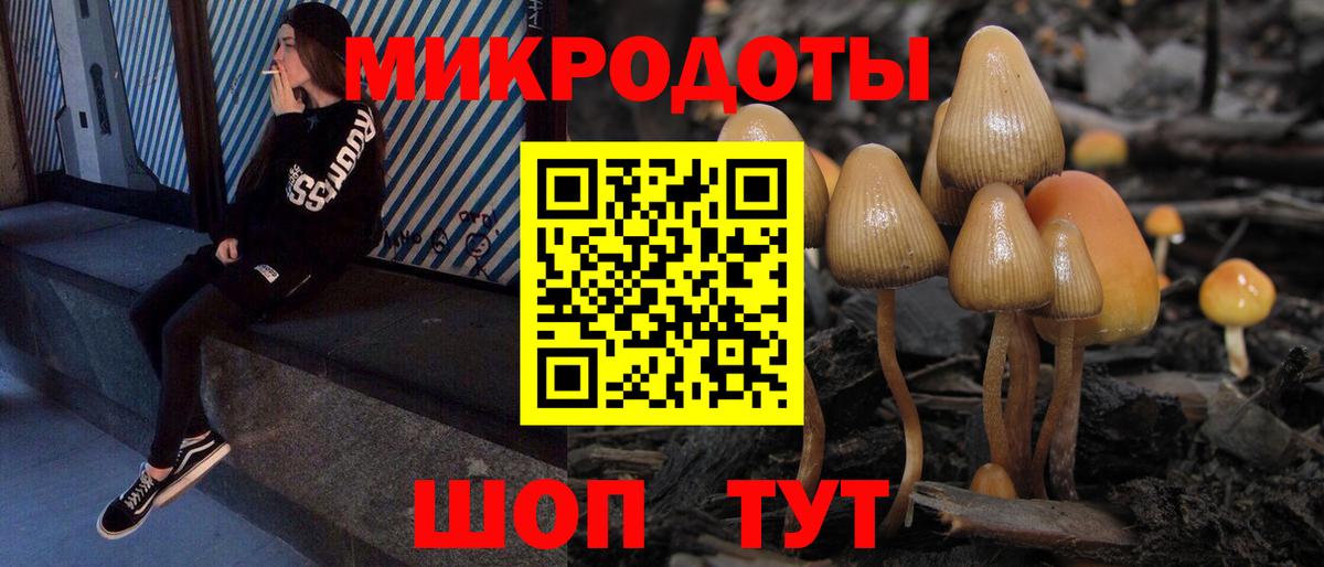 Псилоцибиновые грибы Cubensis Светлоград
